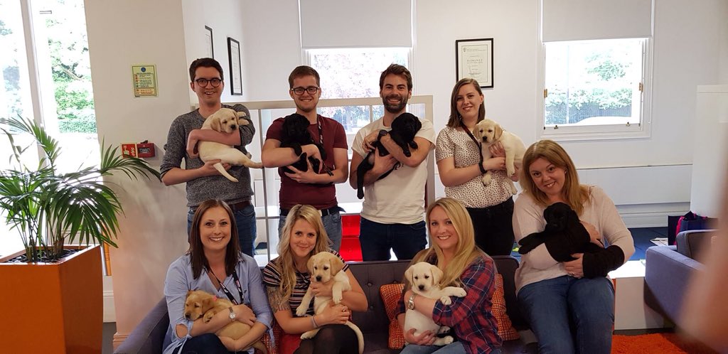 WeArePlayground's tweet photo. @WeArePlayground Employee Perk 72 - ‘Puppy petting in the studio’ - https://t.co/ug5rjeTDy7 https://t.co/JTaNu012UR