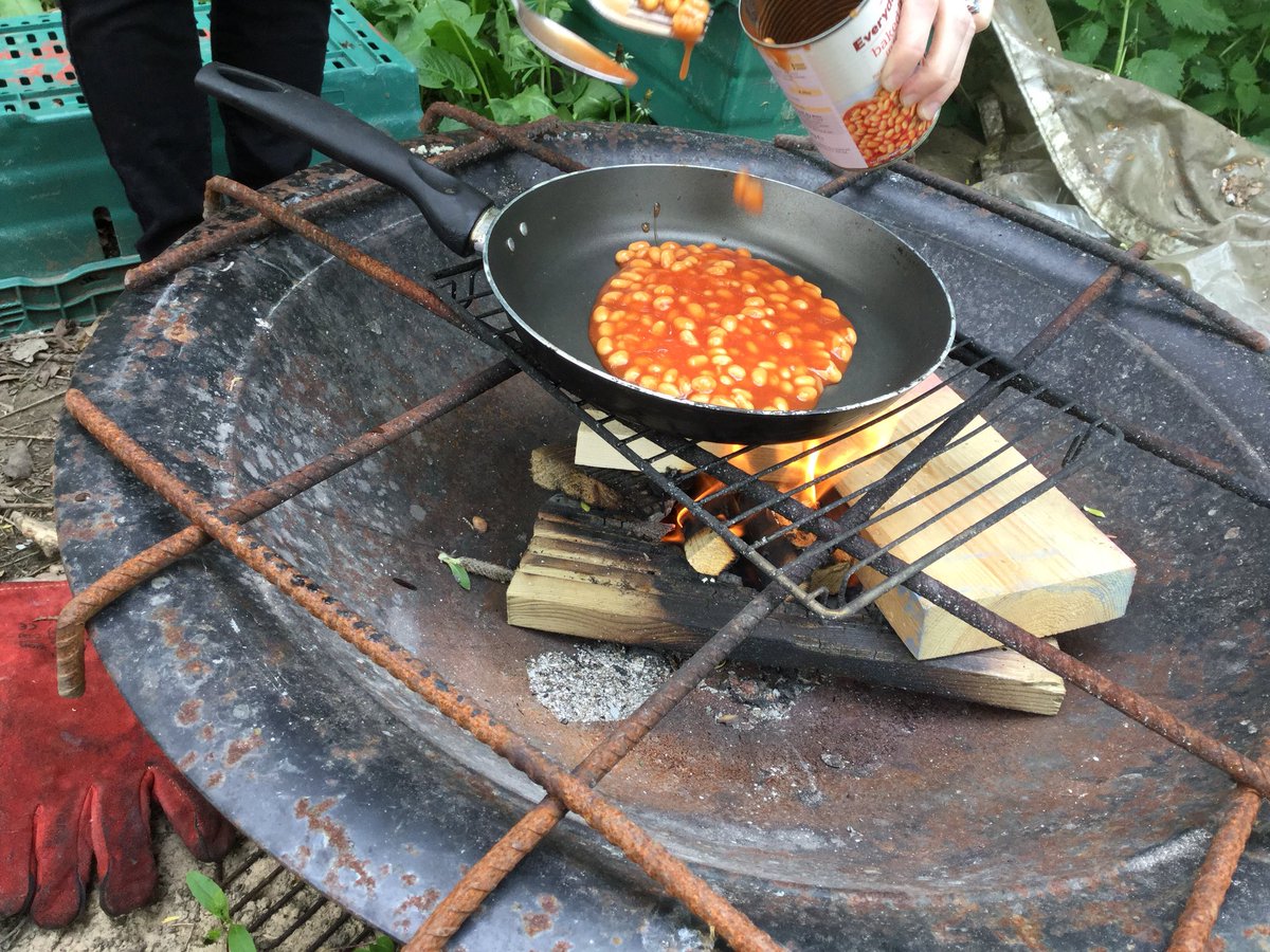 WMOutdoor's tweet photo. Some wonderful flower hunting and beans on toast this afternoon. We ❤️learning outdoors.@WMPrimaryF1 https://t.co/3R7UHrAeW7