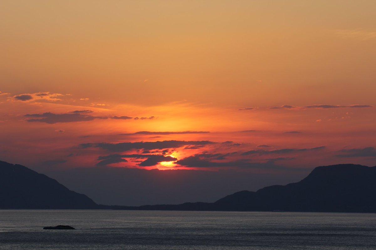 Ser ut av vinduet,
der alt gror.

Jeg gror med.