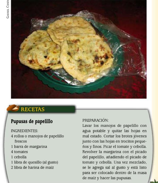 calichesYmas's tweet photo. Hoy resaltamos para nuestr@s Herman@s Lejan@s el #salvadoreñismo:
• #PAPELILLO (gracias @E_M_Lacayo).
Planta que con sus hojas preparan pupusas. https://t.co/FjMUkcKDxT