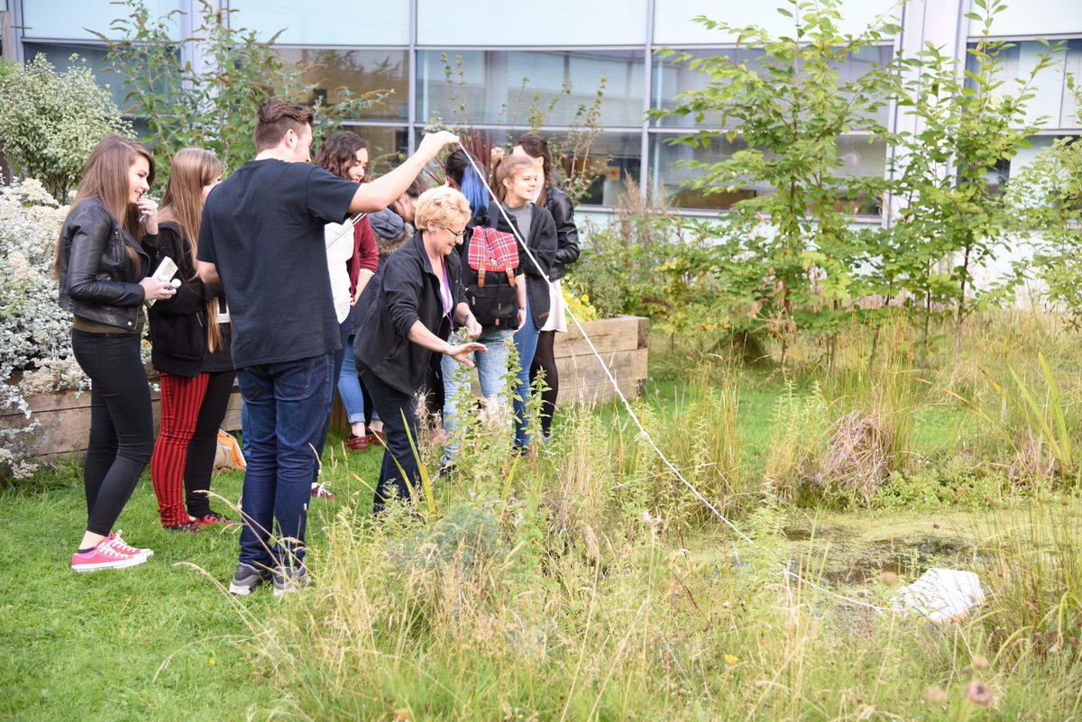 FBMHGreenImpact's tweet photo. Remember to sign up to our Bioblitz next Wednesday! Come along and see what you can find in your lunch break! 🐝🌿🌼https://t.co/SLUYzolAkt https://t.co/elBkZH8XsO