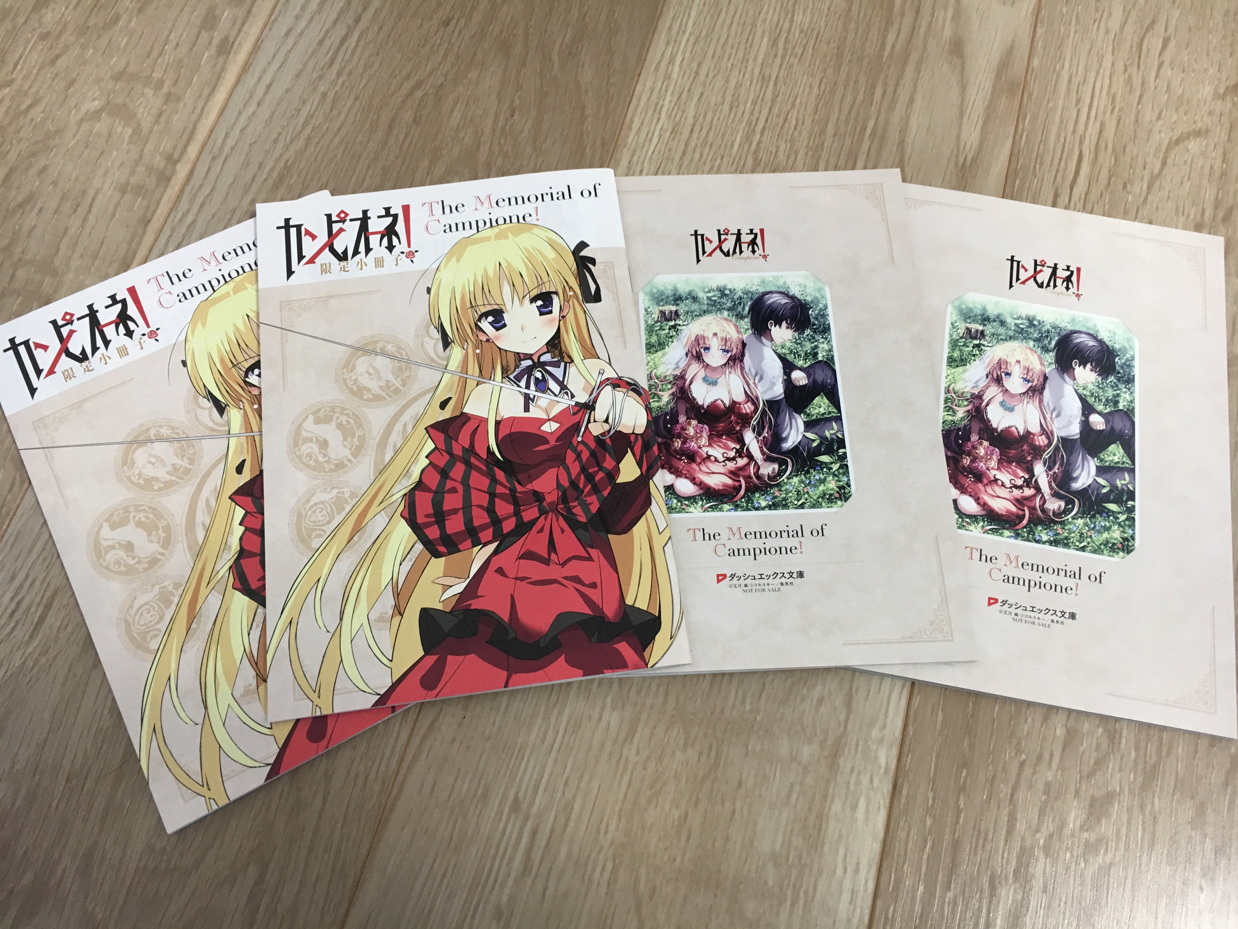 丈月 城 今日とどいたサンプル カンピオーネ カンピオーネス購入特典の冊子 Ss付き できあがりました 申し込まれた方のお手元にも まもなくとどくのではないかと T Co Mefi5f5oi3 Twitter