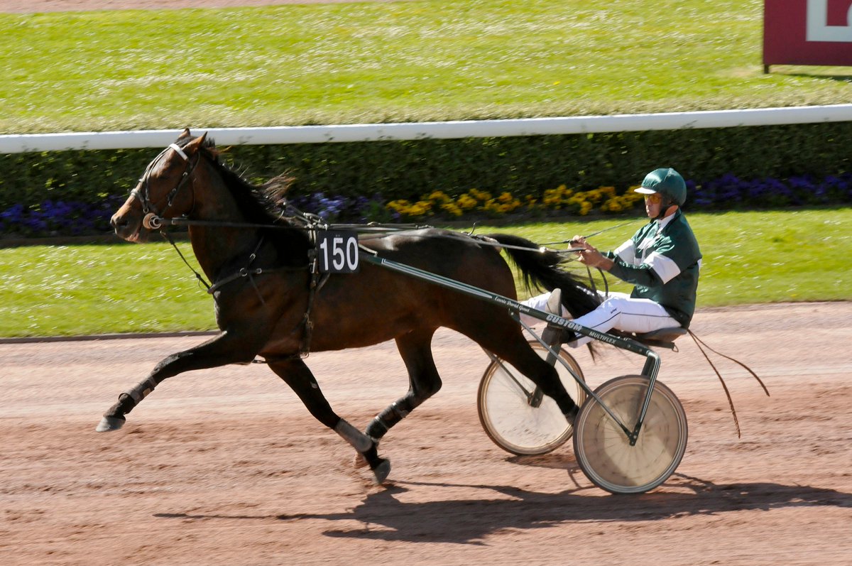 ProvinceCourses's tweet image. #trot #Requalification Vaillant Cash vient de se requalifier en en 1’14’’2 😊 Pour consulter sa carrière de course, rendez-vous sur sa fiche étalon ➡️ bit.ly/2Ig4u0A Et pour voir sa requalif, c&apos;est là bit.ly/2pWAuxy