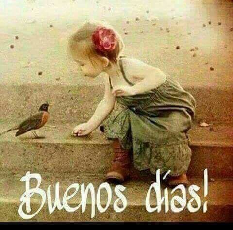 chandysalva's tweet photo. Muuuy buenos días a todos y cada uno de ustedes... que disfruten un maravilloso fin de semana!!! Cariños y cuídense mucho 🤗💕💕💕🤗💕💕💕🤗💕💕💕🤗💕💕💕🤗... https://t.co/M56eEQqyT1