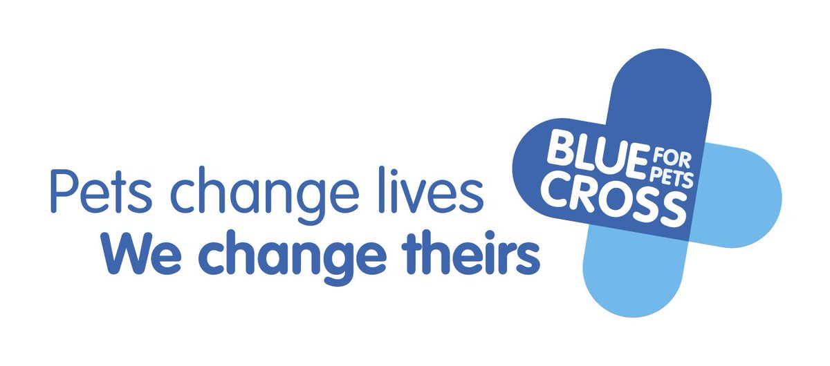 Young_Eq's tweet photo. If you're a horse, pony, donkey or mule owner then you can do your bit to protect horse health and welfare by signing up to take part in @The_Blue_Cross National Equine Health Survey from 21-28th May. Register here: https://t.co/KQ9gw48aIR https://t.co/lbxUeDoPKg