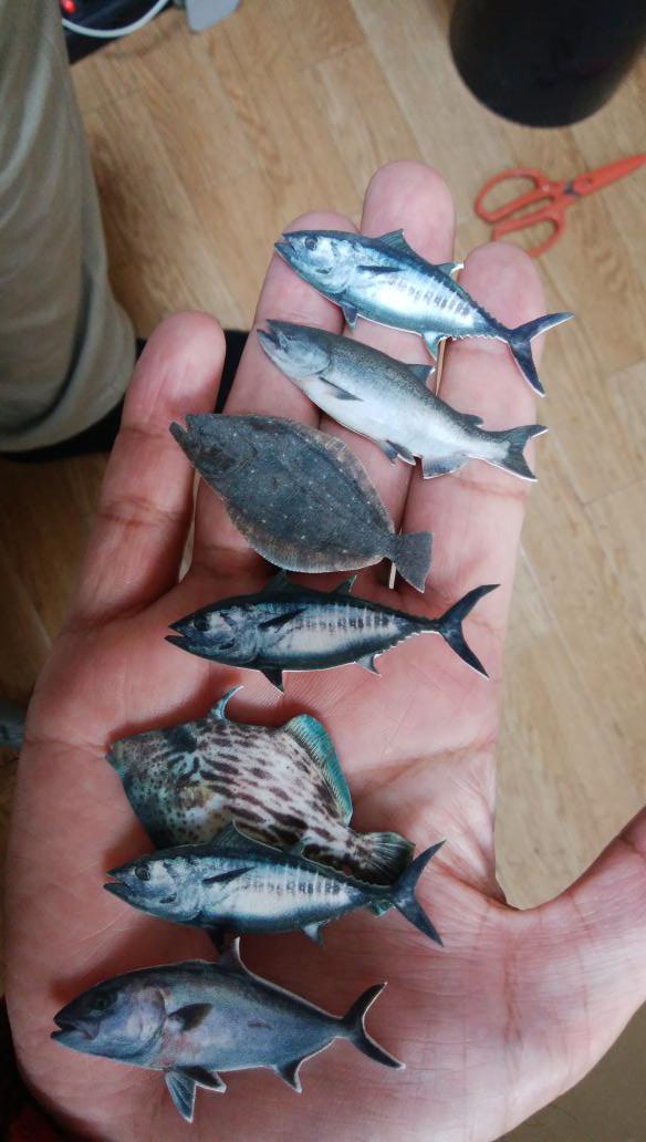 魚屋 天然堂 3 13あにぷらまつり出展予定 Sur Twitter 魚屋 天然堂 両日 Cー179 １点ものの魚 剥製に ここでしか手に入らないお魚マグネット多数ご用意しています 剥製は4000円 お魚マグネットは300円です さあいよいよ明日からの初デザフェス 足を止め