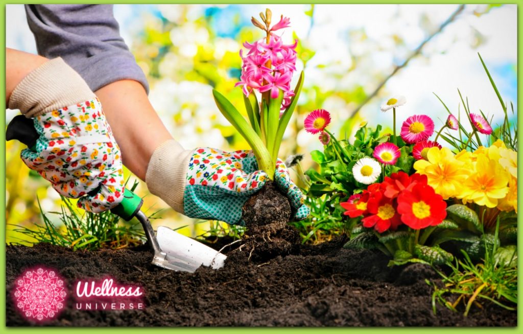 L;ve to Insp;re tweet media