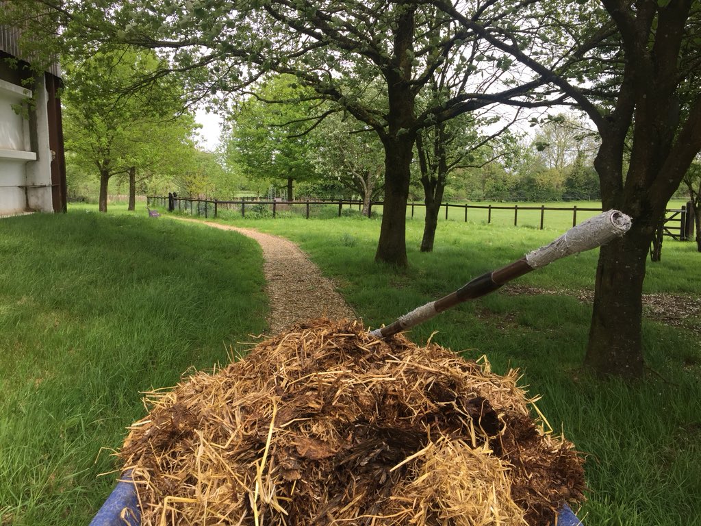 RacingtoSchool's tweet photo. Delighted to be @GreatwoodHorses volunteering with colleagues from @BHAPressOffice and @careersinracing as part of the @RacingTogether Community Day #RTday https://t.co/EAcqRgHl7X