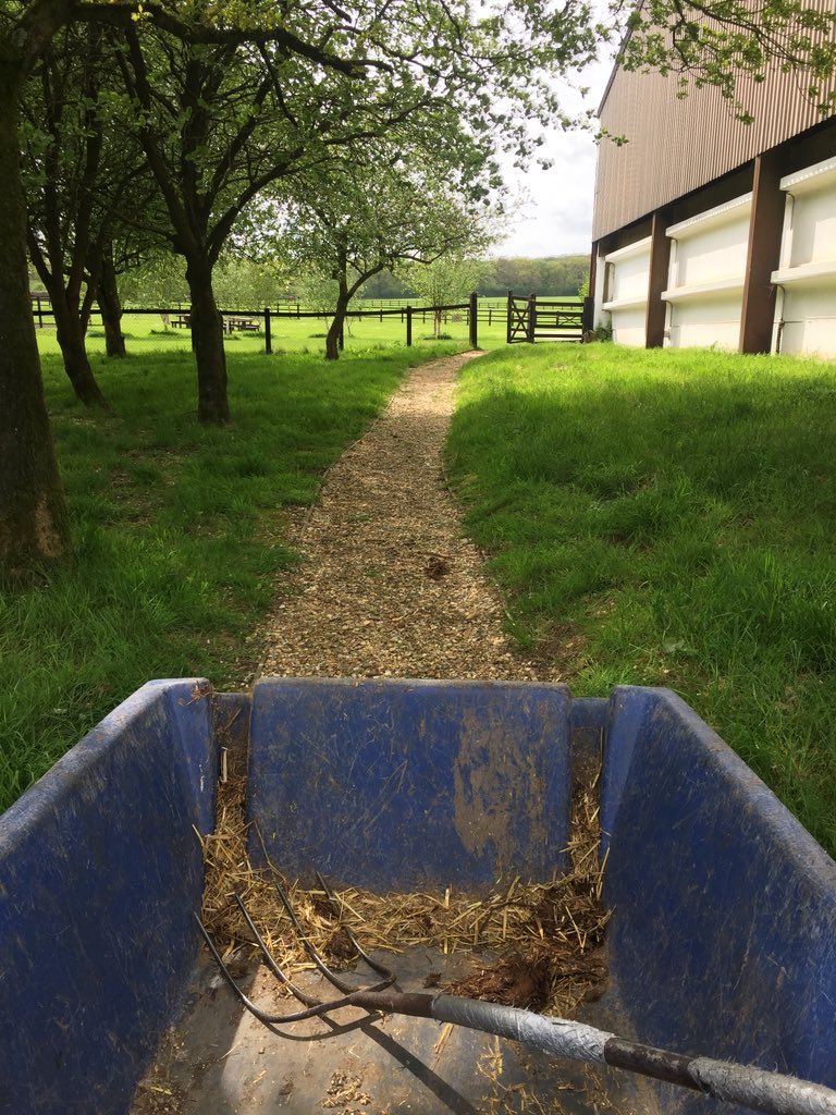 RacingtoSchool's tweet photo. Delighted to be @GreatwoodHorses volunteering with colleagues from @BHAPressOffice and @careersinracing as part of the @RacingTogether Community Day #RTday https://t.co/EAcqRgHl7X