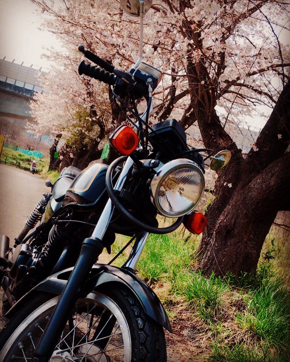 ミー Cb250rs黒金 Su Twitter 名前 Mii 住み 東京 年齢 多分19才 身長 173km 車体 Cb250rs 足つき 片足ベタ 目標 原型ブレイク 愛車に一言 かっこよくカスタムしてやるぞい バイク バイク好きと繋がりたい バイクが好きだ バイクのある生活 T Co 9mq8qwdy0f