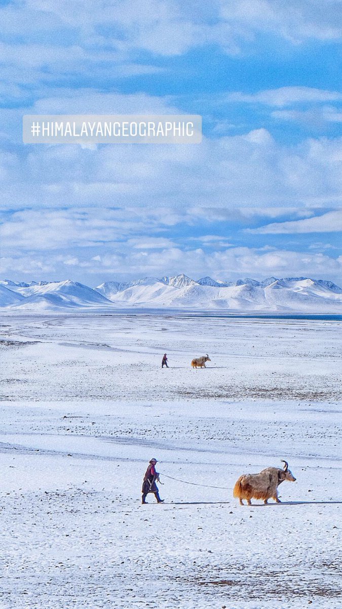 Mountains are calling
🌋🌋 instagram.com/p/BiocyycHQAX/ 🌋🌋
#Himalayas #NatGeo #himalayangeographic #tt #snow #travel #photography #PhotographyIsArt