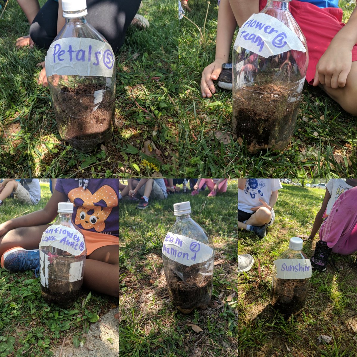 LAES_brownson's tweet photo. @LakeAnneEs Last Friday, we built terrariums to make observations of growing seeds. Today, we will go to the garden to see if any have started to sprout! What do you think?! https://t.co/3MOnrYe96a
