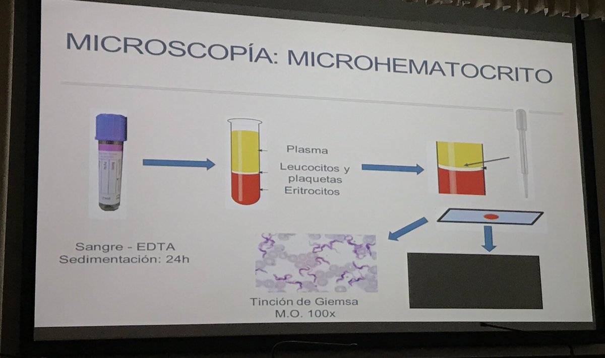 Diagnostico microbiologico en #enfermedadchagas por la Dra. Recacha.