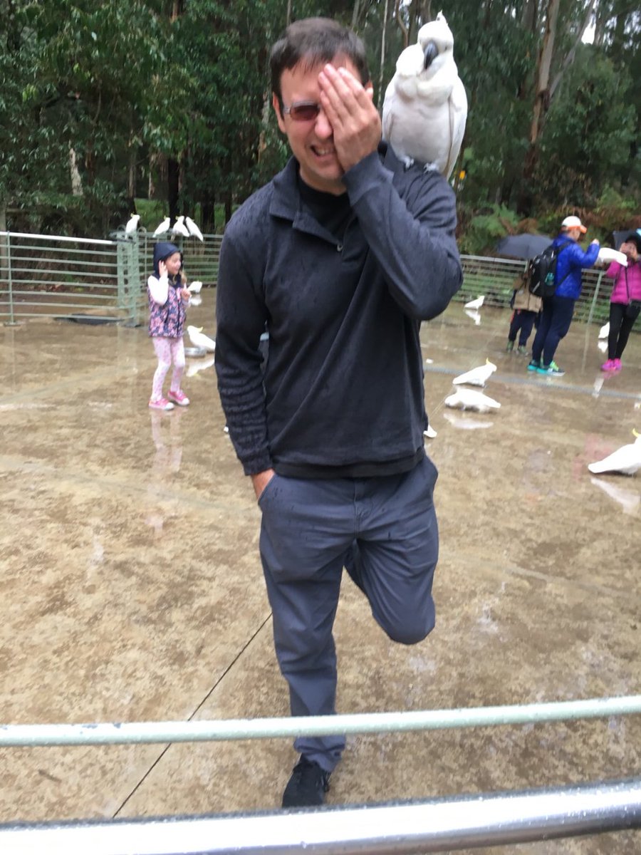 BumbleAu's tweet photo. Arrg, do I qualify for the @wombling pirate crew ? https://t.co/kQz08xIivb