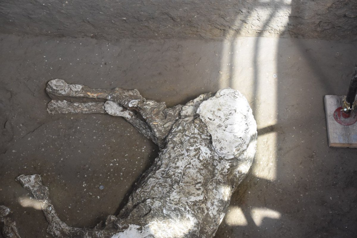 Pompeii Sites tweet media