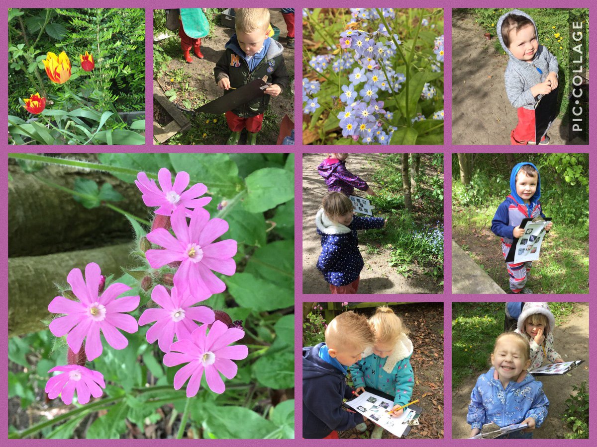 WMOutdoor's tweet photo. We’ve been on a flower hunt too this morning😀🌺🌷🌼🌸 #AimHighSucceedBeHappy @WMPrimaryF1 https://t.co/QZIsa1vqXg