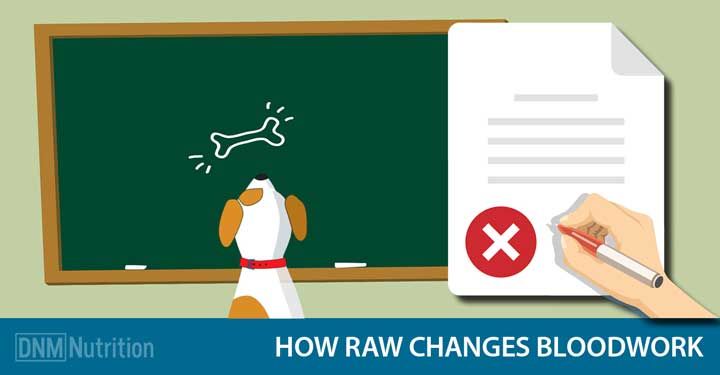 IAVH2012's tweet photo. Normal Blood Values And Raw Fed Dogs https://t.co/ZI5HmELdOD https://t.co/XiHcM0n10y