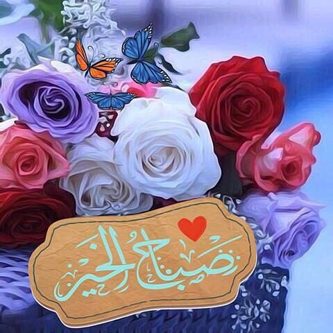 tota62829021's tweet photo. @8971f20c99124a9 @j4j9NMqw0nBWk3B @magedmagic2012 صباحك ورد وسعادة https://t.co/ntX7SammPu