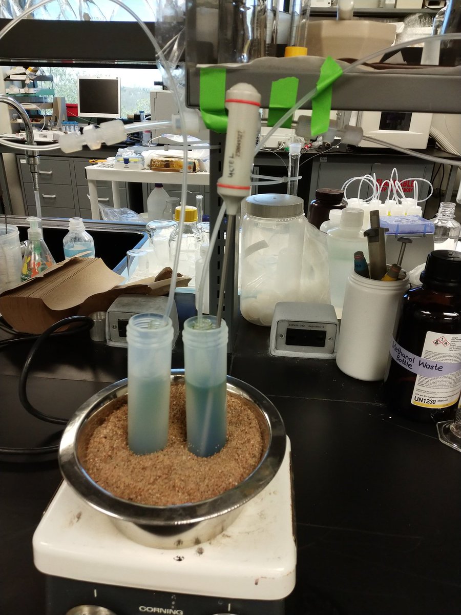 bhk_fdo's tweet image. It is the end of second week of my #research2018 #ScienceWithAView