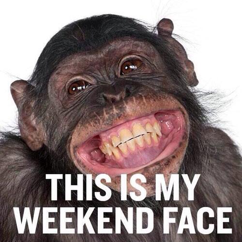 Monkeywood12's tweet photo. We have that #FridayFeeling today at #monkeywood. Have a great weekend folks :-) https://t.co/ciJumO8Mdw