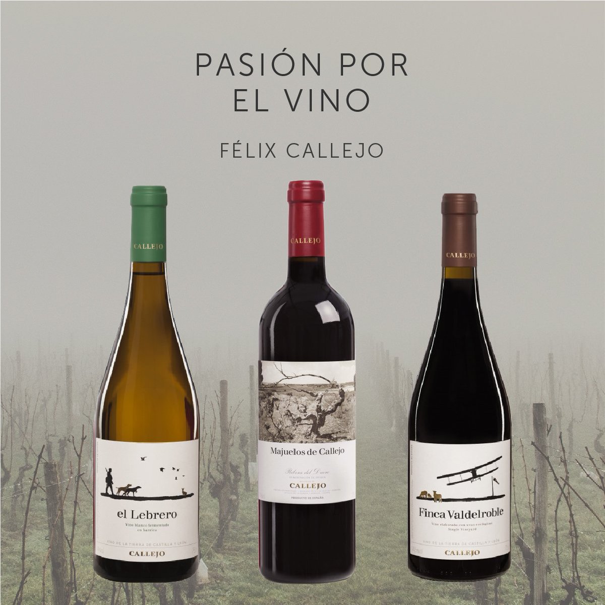 Sentir pasión por el #vino es completamente normal con las tres propuestas de <a href="/bodegasfcallejo/">bodegas callejo</a> para el finde: 
- El Lebrero 2015: bit.ly/ellebrero
- Majuelos de Callejo 2014: bit.ly/majuelosdecall…
- Finca Valdelroble 2011: bit.ly/fincavaldelrob…
#FelixCallejo
#Enolovers