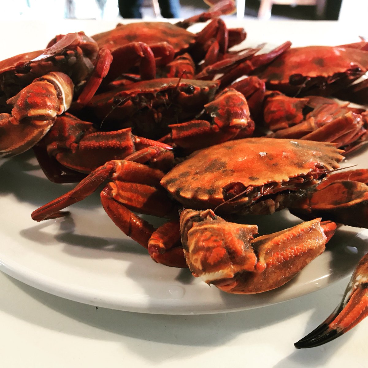 Este finde 🦀🦀 !! Necoras !!! Productazo 🔝🔝🔝🔝