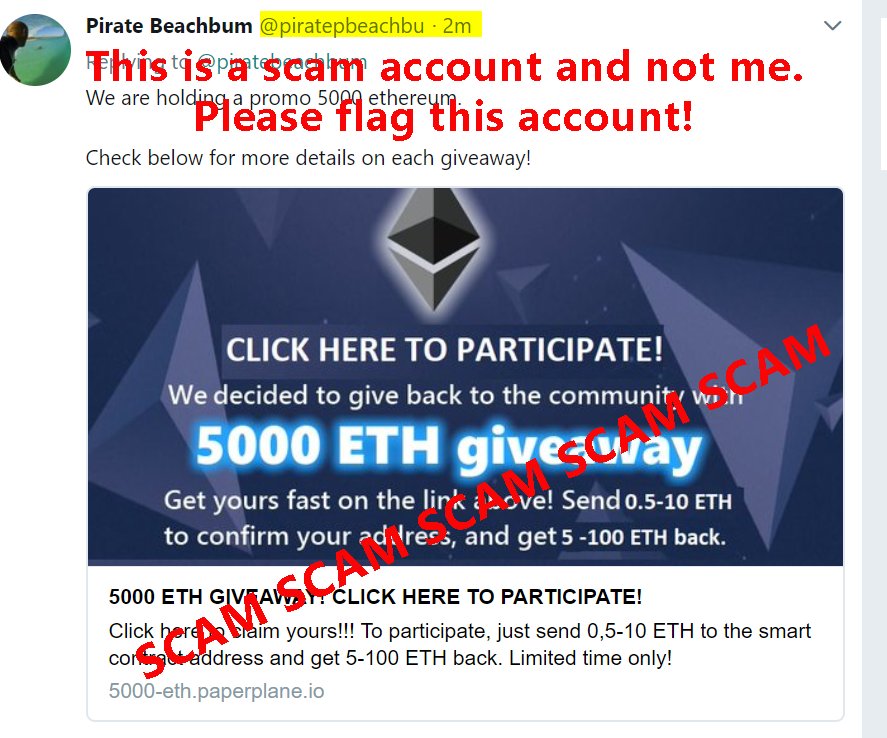coin_strategy's tweet photo. @piratepbeachbu Scammer alert! https://t.co/XtpQbobcpg