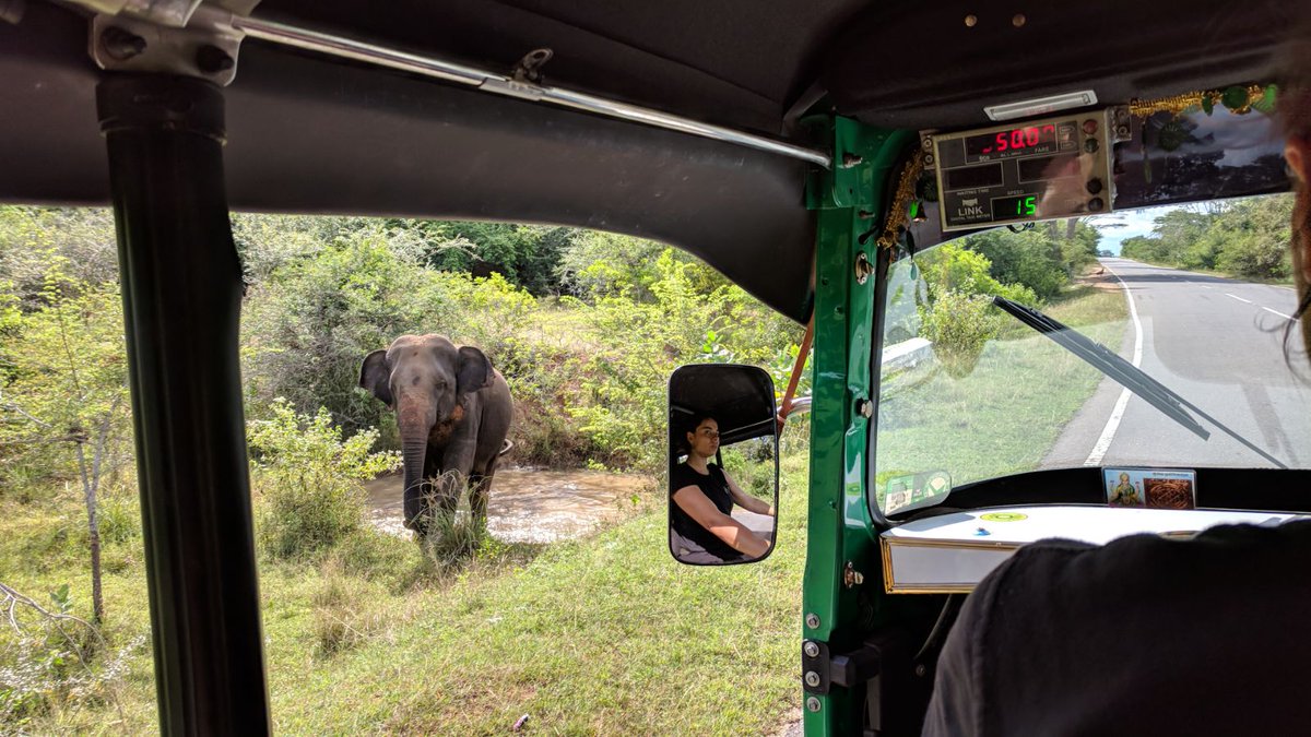 MattAdventrists's tweet photo. Elephants apparently don't like the sound of a rickshaw engine. That's handy. #RickshawRunSriLanka @TheAdventurists https://t.co/z0HRJtyXos