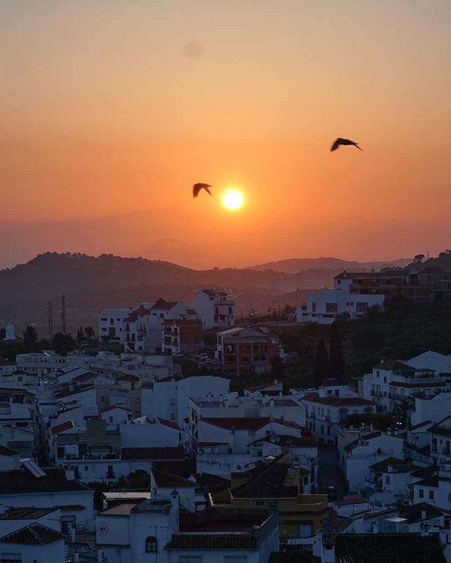 Waking up in the land of oranges 🍊

#andalucia_photos #andalucia_natura #orangegrove #oranges #sunrises #sunrise🌅 #sunrise_madness #sunrise_lovers #spain_photographs #spainiswonderful #sonyimages #sonyalpha