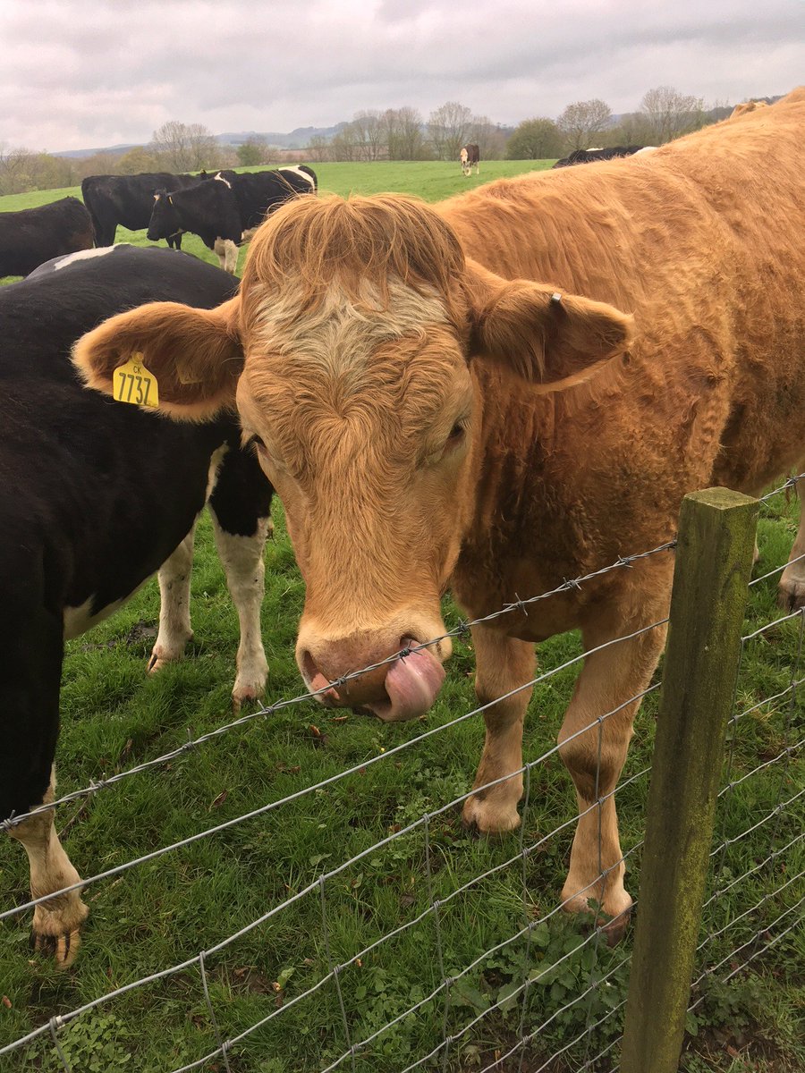 borderuk's tweet photo. Making friends on our #PEFC Trip to #PEFCLockerbie #FridayFeeIing https://t.co/KMWV582dgy