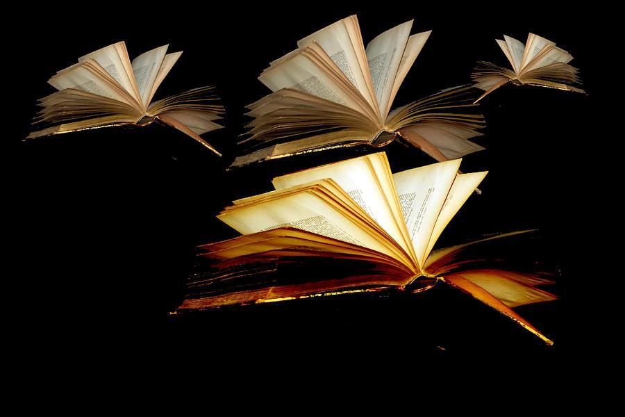 летающие книги. раскрытая книга. Fly book. книга в воздухе. летающие книжки.