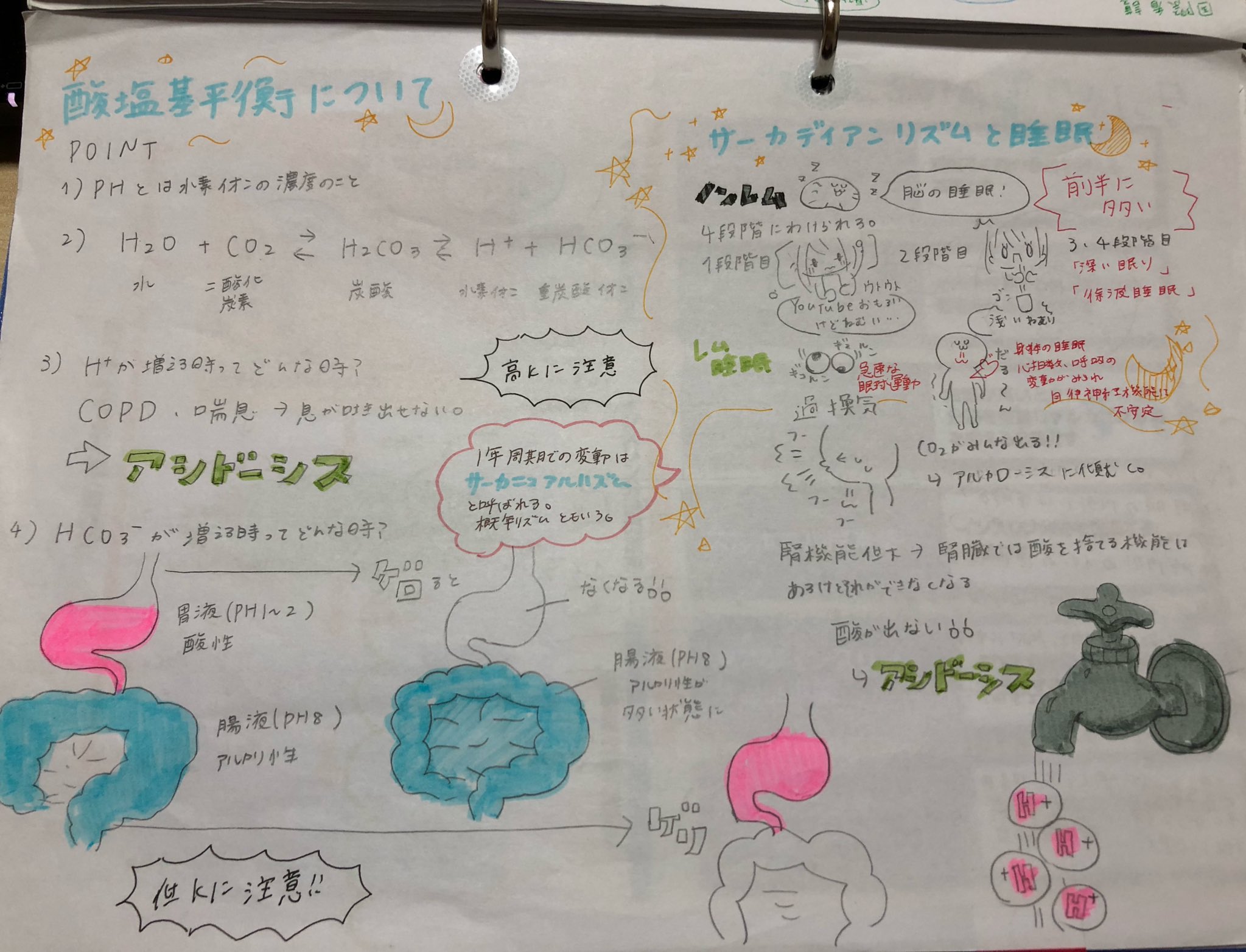 サーカディアンリズム 看護