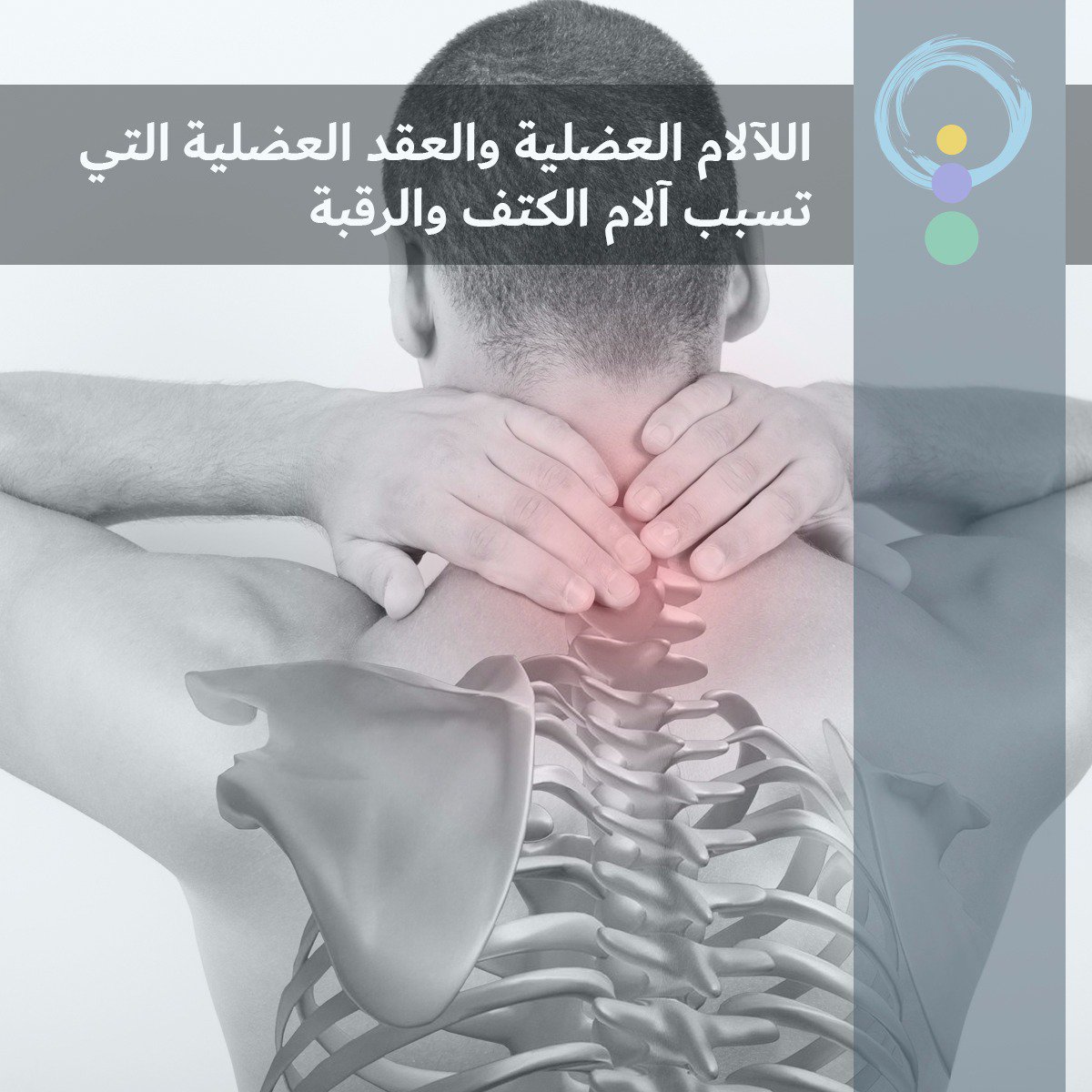OsratyDXB's tweet photo. #الالام_العضلية التي تسبب #الام #الكتف و #الرقبة, وتتكون بسبب انحناء الرقبة بشكل مستمر من استخدام #الموبايل و #الكمبيوتر والجلسات الخاطئة ما يسبب شد دائم لعضلة المثلثات ويتم علاجها بتمارين الاستطالة او بالابر الجافة وجهاز ال #shockwave ومن ثم يخف الالم تدريجيا الى ان يزول تماما https://t.co/5mBZjbf8VU