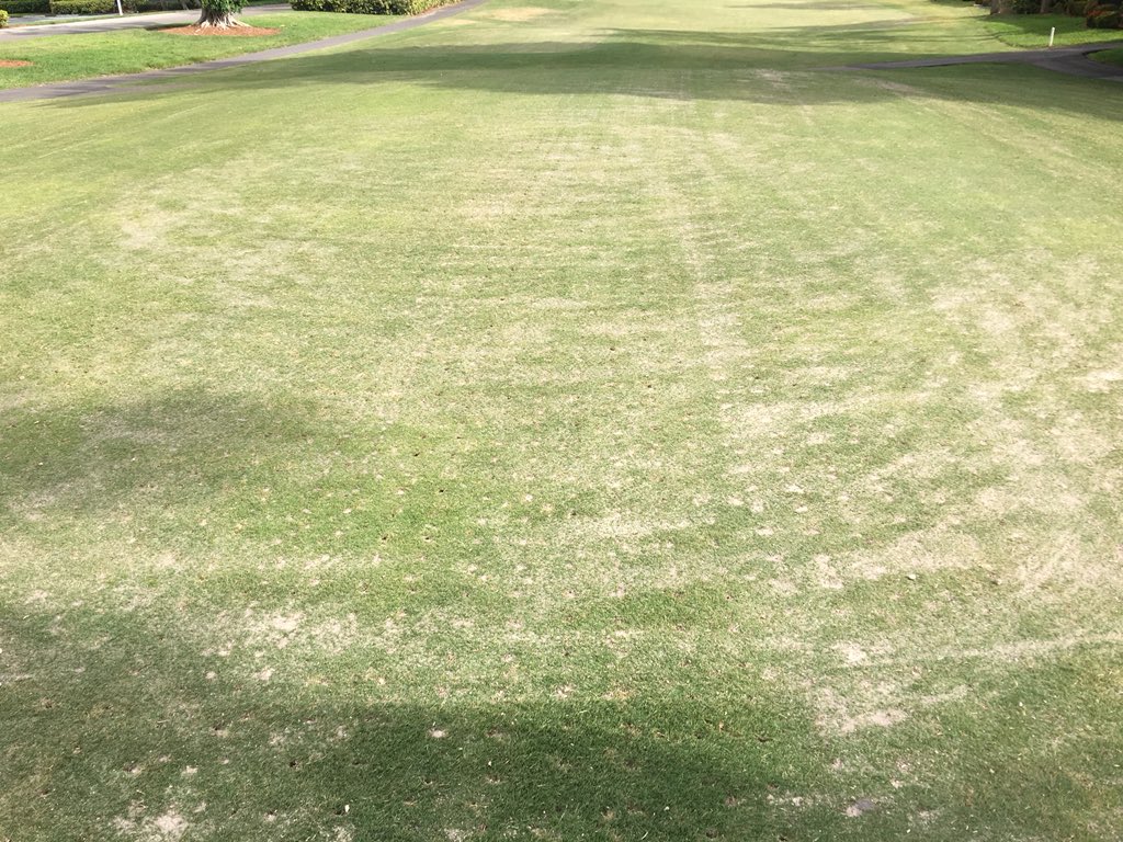 “Smooth Power” Deep Tine (1.25”x7”) Aerification at The Landings. Looking good Rocky!