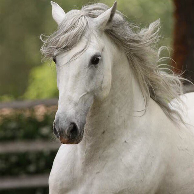 Whichiscooler App tweet media