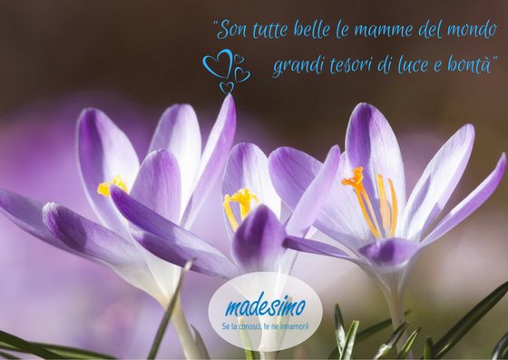 Auguri a tutte le mamme #festadellamamma