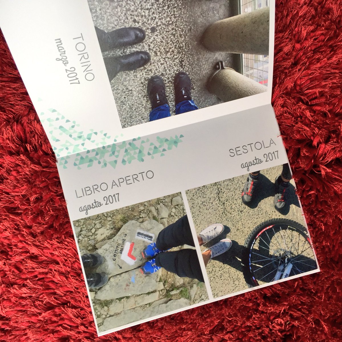 justilago's tweet photo. Ho trovato il mio stampatore di album 📔 definitivo @SaalDigital software di impaginazione intuitivo, stampa e materiale di supporto di ottima qualità, consegna super rapida. Ora sono curiosa di provare anche gli altri prodotti! 🔝⏩ https://t.co/kjRKufjgg3 https://t.co/voQlMilBH1