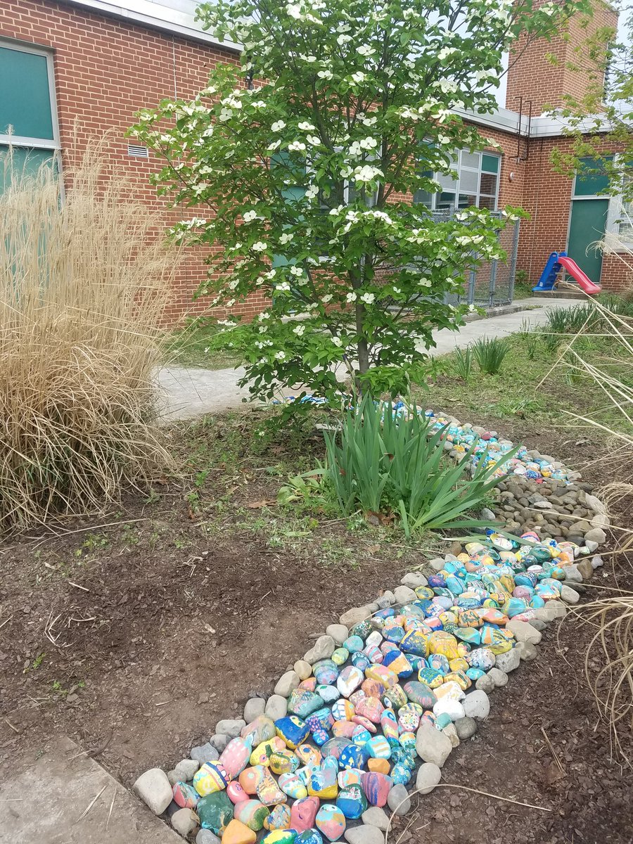 David  Paul tweet media