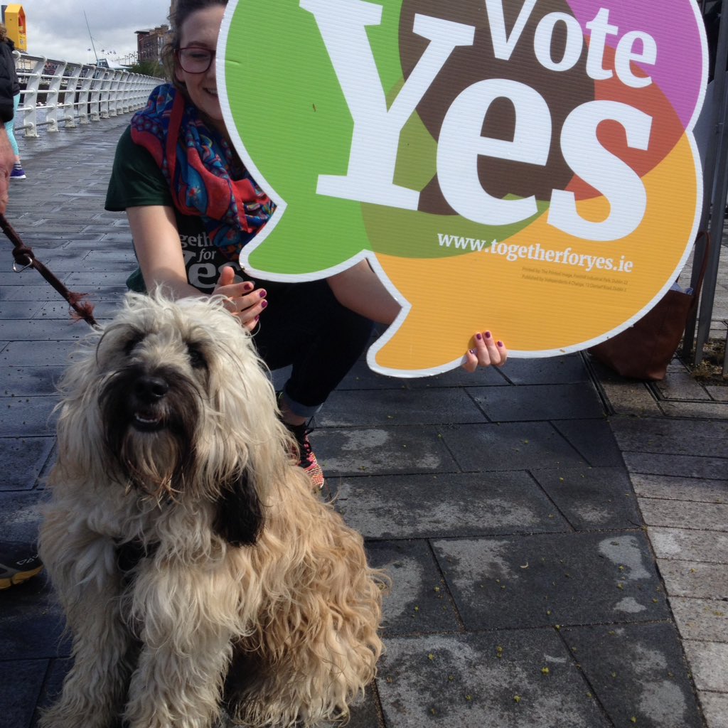 Together4yes's tweet photo. "How are you voting Ted?" #TedforTa #GetTogether4Yes #limerickforyes #doggosforyes #togetherfordogs @REPEAL_LK https://t.co/A7PeOn12CT