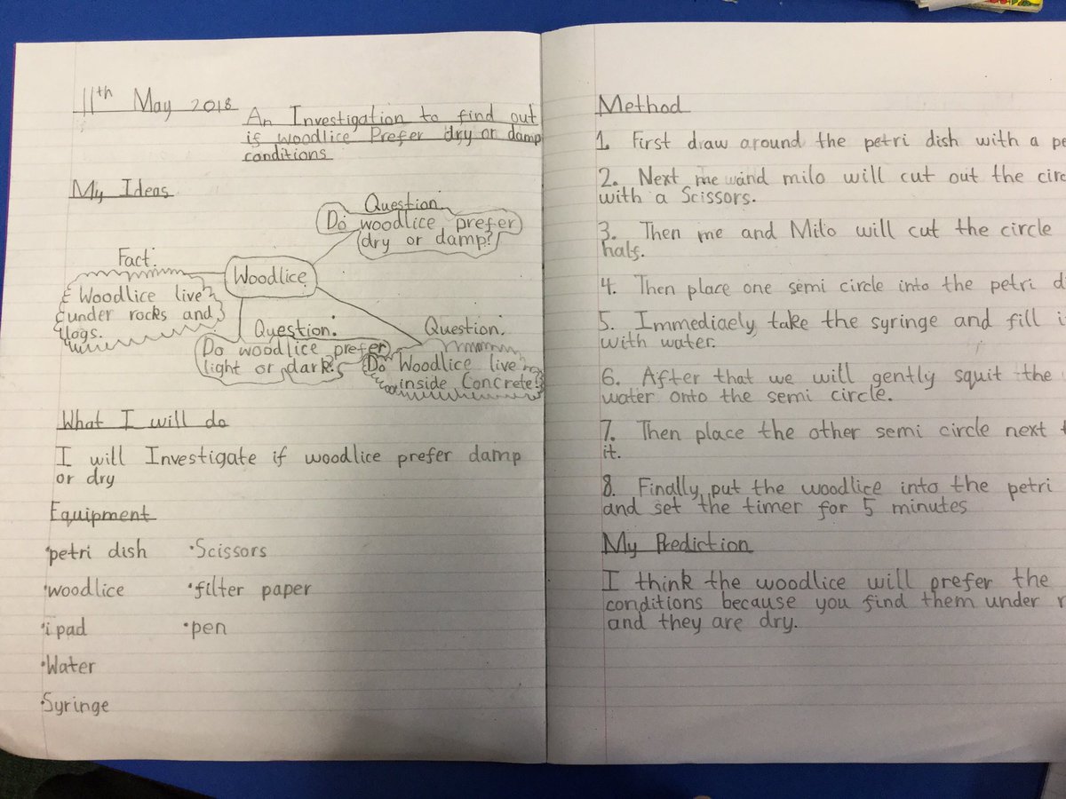 Dosbarth4's tweet photo. We are investigating the favoured conditions for woodlice #habitats #choicechambers #science #lightordark #dryordamp https://t.co/7359Nbhqxj