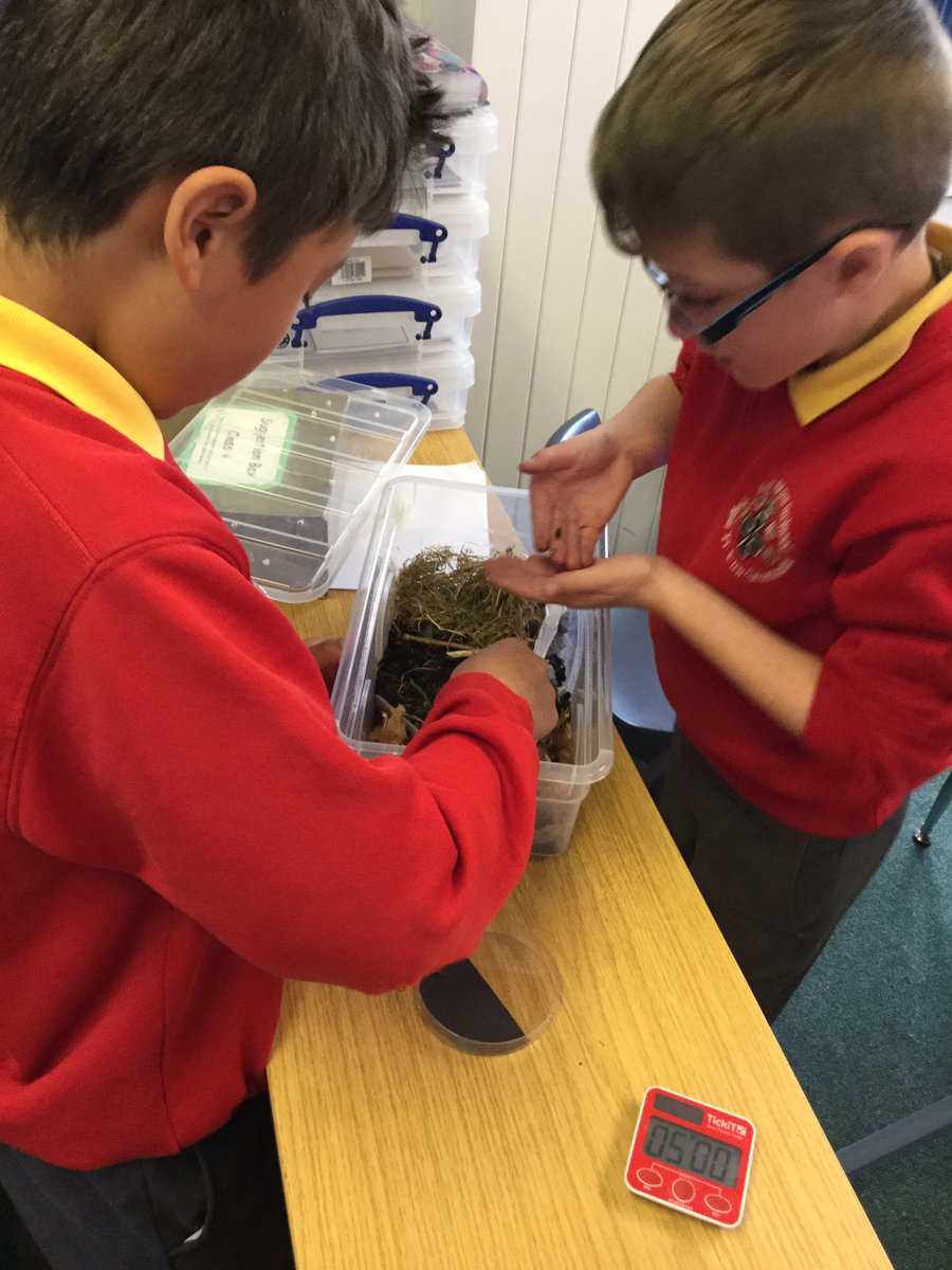 Dosbarth4's tweet photo. We are investigating the favoured conditions for woodlice #habitats #choicechambers #science #lightordark #dryordamp https://t.co/7359Nbhqxj
