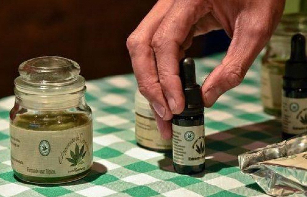 loprincipal's tweet photo. Dictamen favorable para una familia que quiere cultivar cannabis para uso medicinal https://t.co/zslj88yoFR https://t.co/zOiO2LuL8x