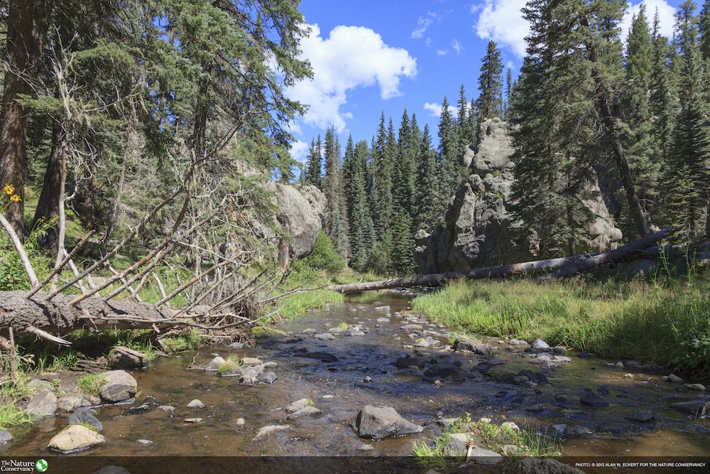 MarkTercek's tweet image. Forest and watershed restoration—plus action from local &amp;amp; federal government on a #FireFix—is helping prevent wildfires in the southwest and beyond. abqjournal.com/1162031/govern…