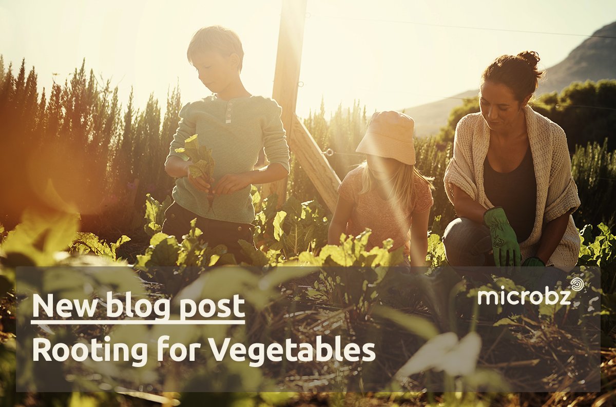 MicrobzPro's tweet photo. We are rooting for vegetables in our recent blog! 🥕🥦🍅
Introducing more plant-based foods into your diet can be a brilliant way to enhance your digestive health &amp; support your gut. https://t.co/zm9XSdGzZj
#EatWhatYouWantDay #vegetarian #veganism #Food #HealthyEating #guthealth https://t.co/znn8PITdwu