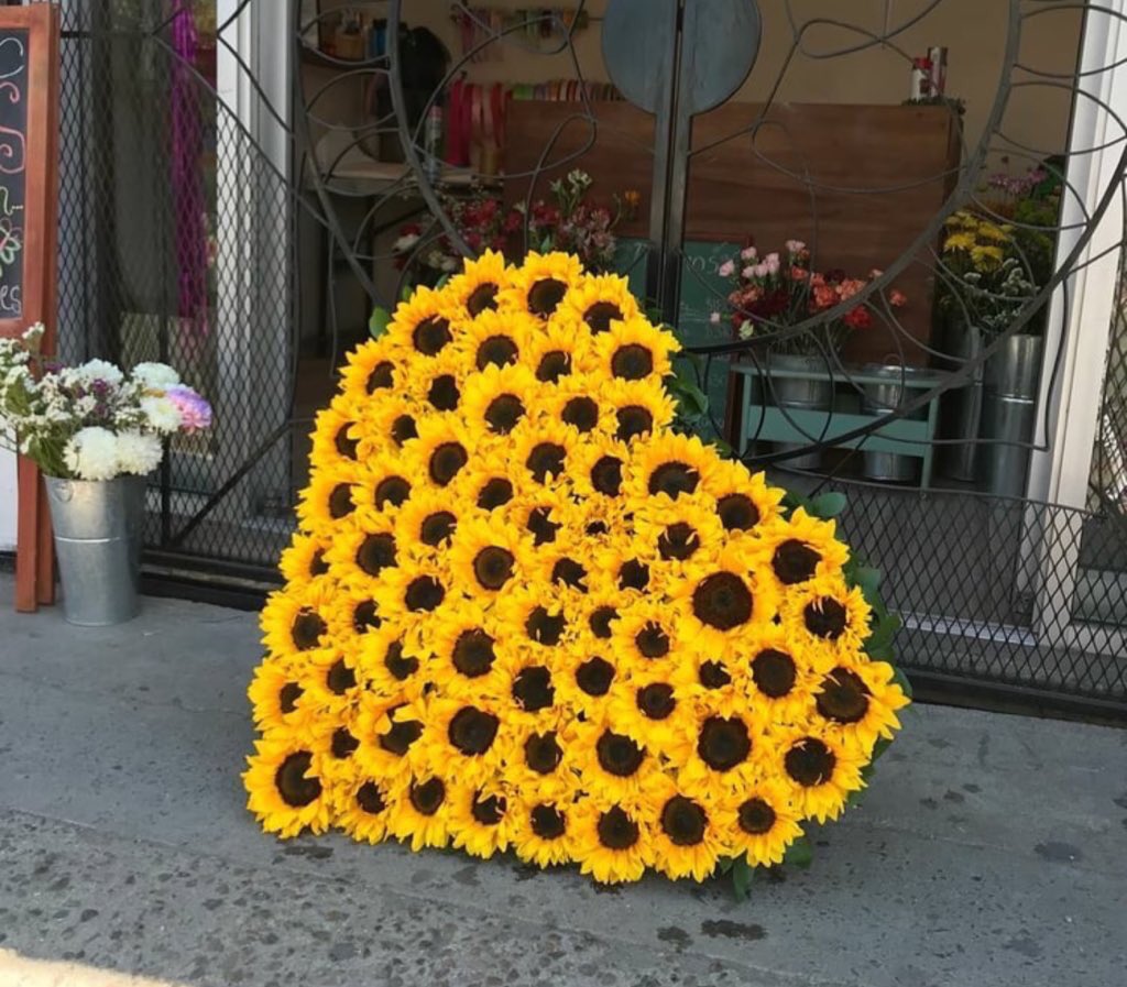 sunflowerlust's tweet photo. sunflower hearts ♥️ https://t.co/KiIcECCivg