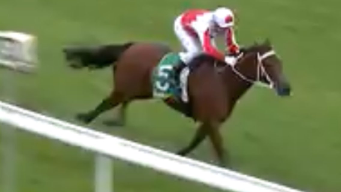 A big thank you to Waratah Bloodstock for their support winning a race at Geelong yesterday With a nice mare first up for the stable .