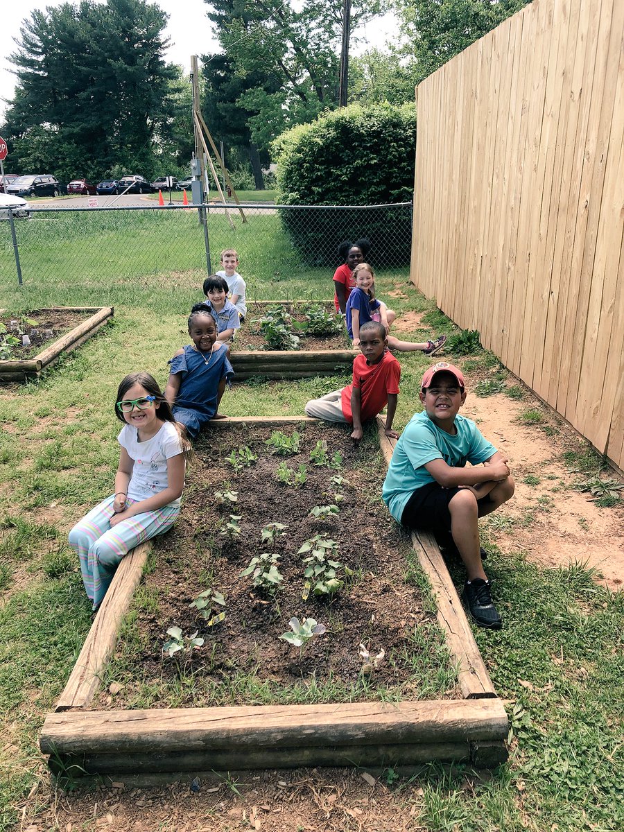 jamee_dion's tweet photo. Super proud of this transformation #gardenclub #passionproject @lisaUNCWmom #farmtotable https://t.co/xsjKdnZOai
