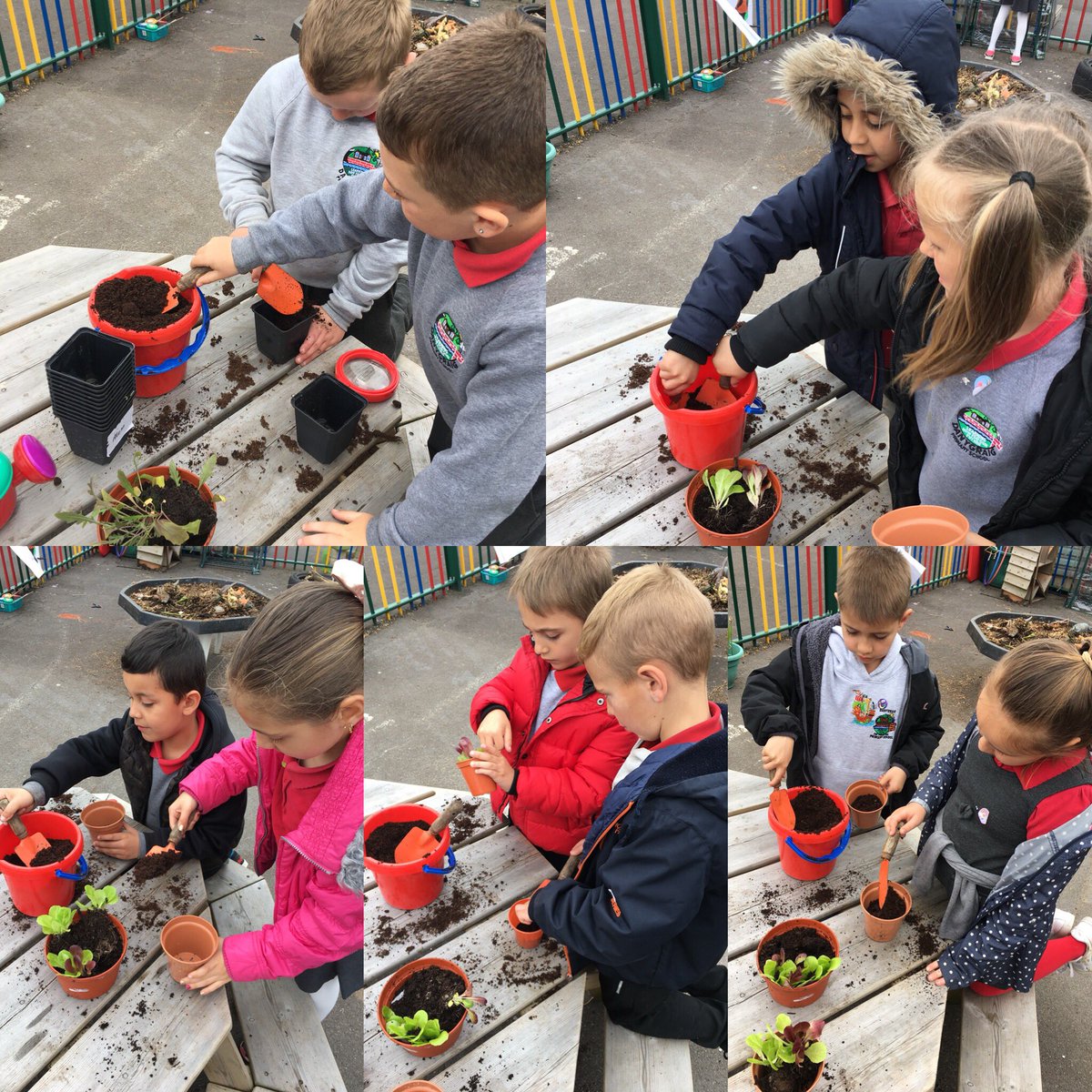 DanygraigP's tweet photo. Year 2 had a wonderful afternoon planting in our outdoor area #DYGPWB #OutdoorLearning #DYGPFP https://t.co/oMLltCMnRt