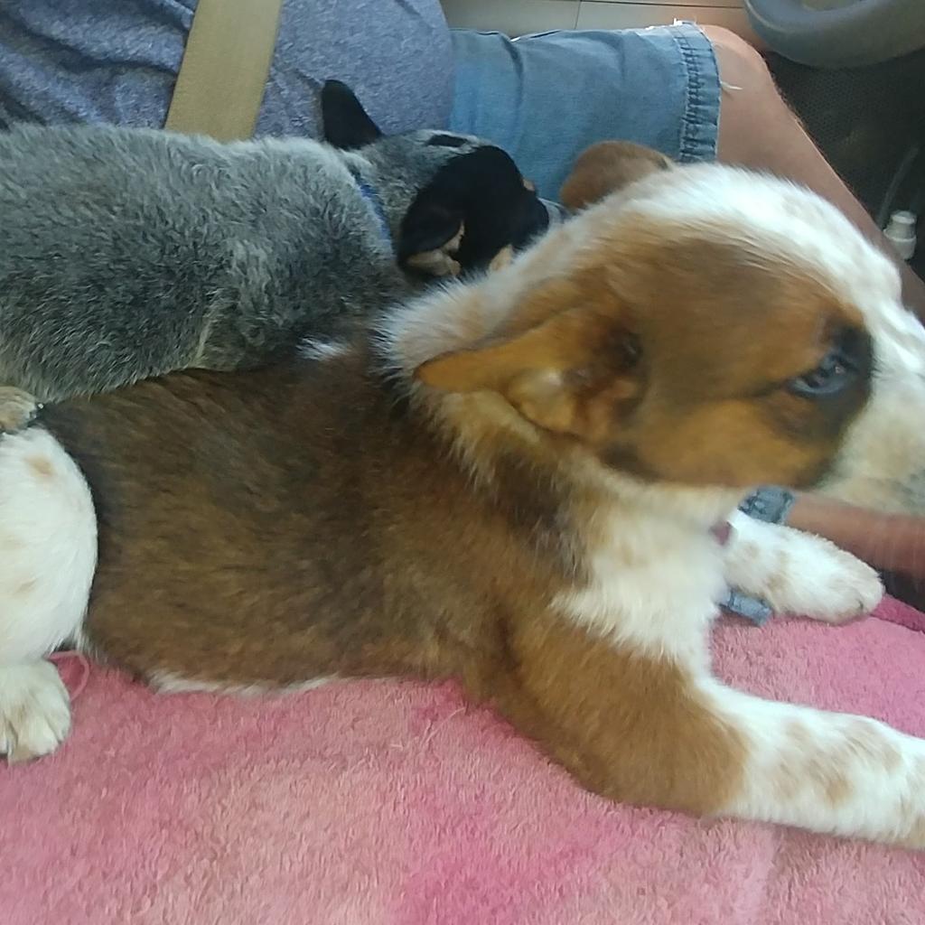 epc19111's tweet image. 