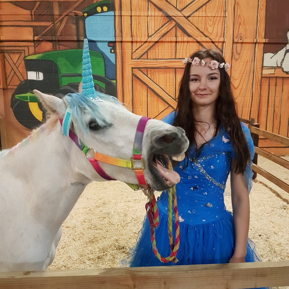 Clip Clop Pony Rides tweet media